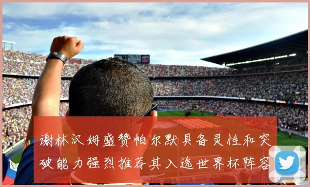 谢林汉姆盛赞帕尔默具备灵性和突破能力强烈推荐其入选世界杯阵容