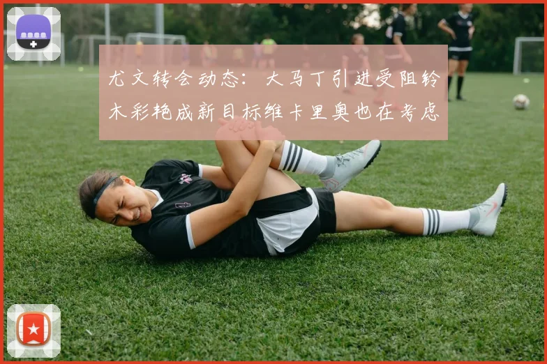 尤文转会动态：大马丁引进受阻铃木彩艳成新目标维卡里奥也在考虑中